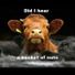 Johnp1985