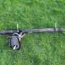 Ford S-Max / Galaxy Steering Rack 6G913A500 Image 3
