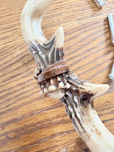 New set of 2 15cm long antler drawer pulls