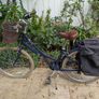 Pendleton Blossomby 26" Girls' Town Bike, Navy Image 2