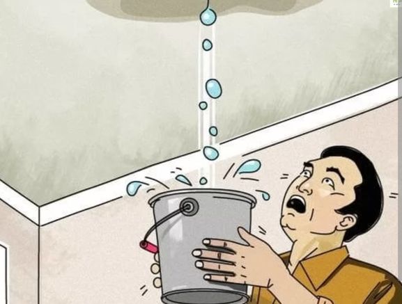 plumbing and heating/polish contractor
