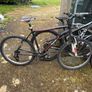 bikes Image 4