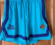 Nike le Bron x shorts size large