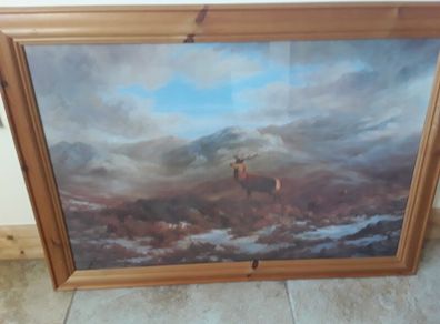 large picture