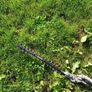 hedge trimmer Image 4