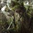 walkingtree