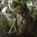 walkingtree