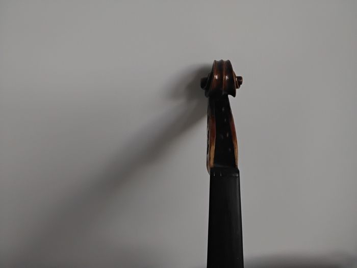 Violin 3/4 circa 1900