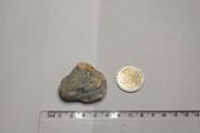 Dendritic agate