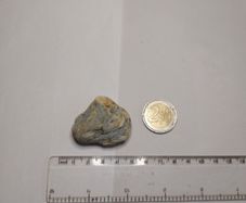 Dendritic agate