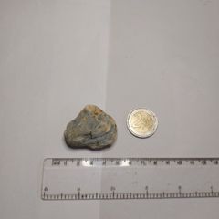 Dendritic agate