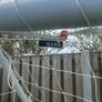Football Goal Image 2