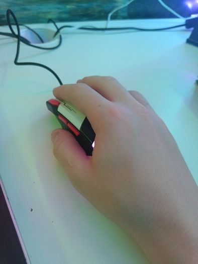 Mouse