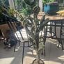 Cactus plant Decorative Image 3