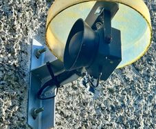 Pest deterrent, Starlings Crows