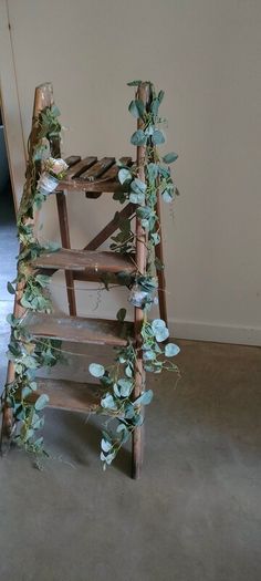 Decorative ladder