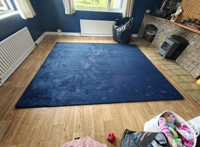 Carpet Rug