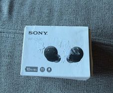 Sony Earphones- WF C500