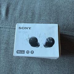 Sony Earphones- WF C500