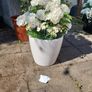 Classico 35 planters Image 2