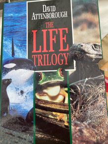 David Attenborough Life on Earth Trilogy