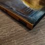 Beauty & The Beast ! Storybook ! Hardcover ! 2017 ! by Egmont Books ! Disney ! Image 5
