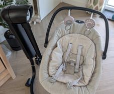 New Joie Serina 2in1 Baby Swing & Rocker