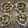 7 Napkin Holders. Image 5