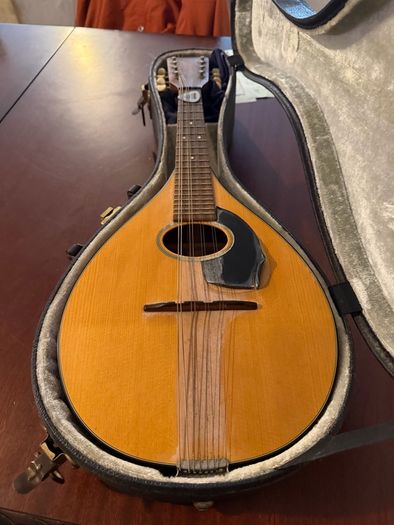 Martin A Style mandolin