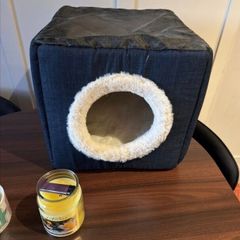 Cozy Enclosed Cat House - Unused