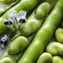 Selection of Vegetable seeds from 1.00 euro Image 6