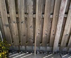 Garden Rake