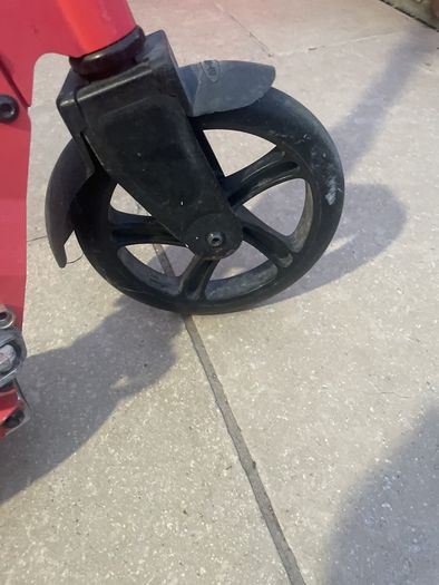 Micro Cruiser Scooter