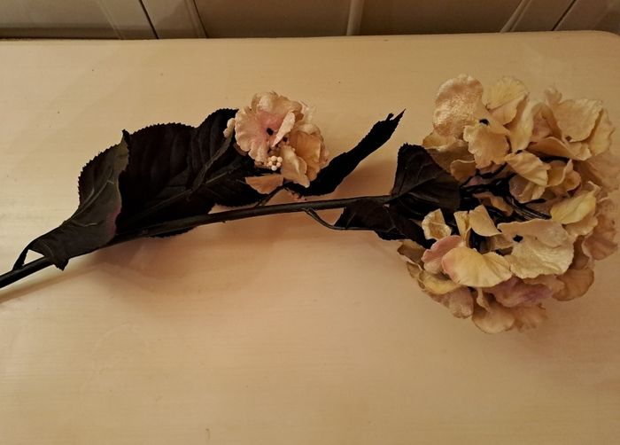 Velvet Hydrangeas