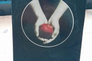 Twilight -  Stephenie Meyer 1st Collector's Ed 2008 Hardcover &amp; Slip Case