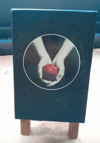Twilight -  Stephenie Meyer 1st Collector's Ed 2008 Hardcover & Slip Case