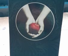 Twilight -  Stephenie Meyer 1st Collector's Ed 2008 Hardcover & Slip Case
