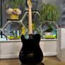 guitar Squier tele 40th anniversary gold, black Image 10