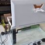 Fish Tank Image 8