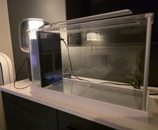 Fluval Spec 19 litre aquarium - Great Condition
