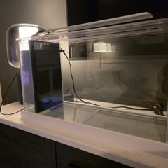 Fluval Spec 19 litre aquarium - Great Condition