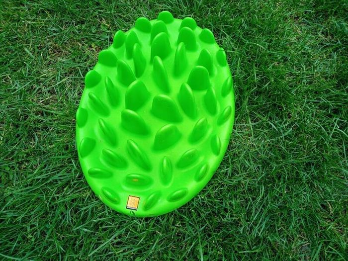 Slow feeder for dog