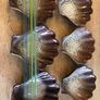 6 New Shell Design Dishes Image 2