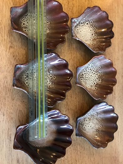 6 New Shell Design Dishes