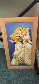 disney princess picture
