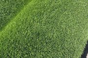 40mm artificial grass