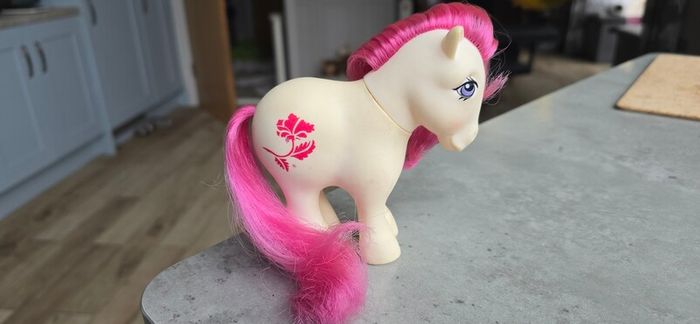 August Poppy Birth Flower Birthflower Birthday Mail Order MO HTF MLP G1 My Little Pony Hasbro