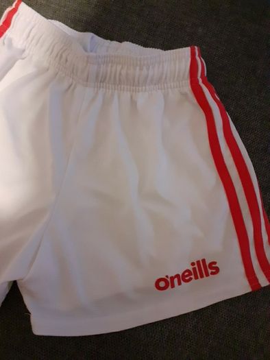 O Neils Shorts Size 26