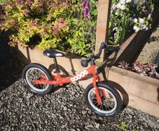 14" Wheels Ridgeback Scoot Balance Bike