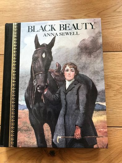 New Black Beauty Book